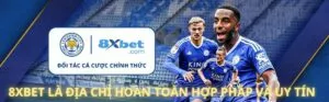 giải mã tin đồn 8xbet lừa đảo: đâu là thông tin chính xác? 4 8xbet là nhà cái uy tín hàng đầu hiện nay