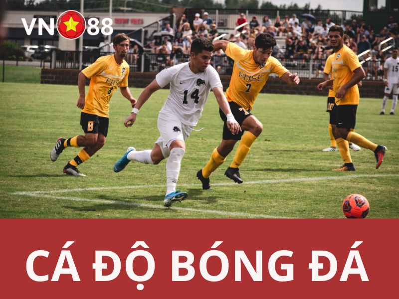hướng dẫn chi tiết về cách cá cược bóng đá trên vn88 6 cá độ bóng đá vn88