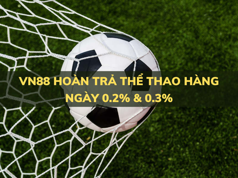 vn88 hoàn trả thể thao hàng ngày 0.2% & 0.3% 