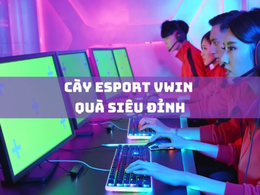 cay esport vwin qua sieu dinh