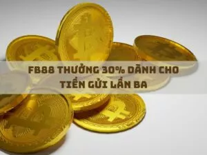 fb88 thưởng 30% dành cho tiền gửi lần ba
